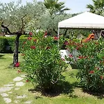 Il Piancardato Collazzone